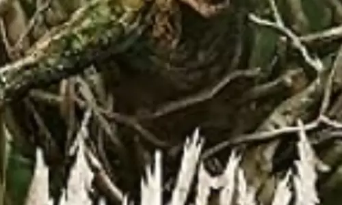 मुंज्या ने पहले दिन बॉक्स ऑफिस पर मचाई धूम, दर्शकों को पसंद आई शानदार कहानी