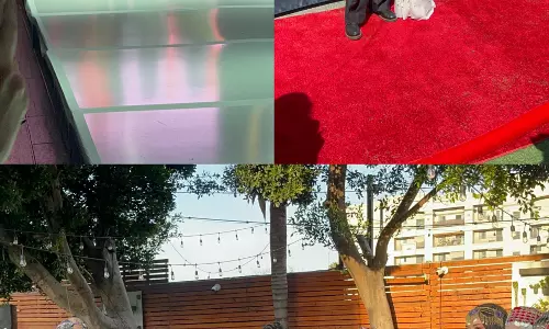 ताहा शाह बादुशा ने लॉस एंजिल्स फैशन वीक में अपनी आगामी फिल्म पारो - द अनटोल्ड स्टोरी ऑफ़ ब्राइड स्लेवरी की स्क्रीनिंग में अपनी उपस्थिति दर्ज कराई