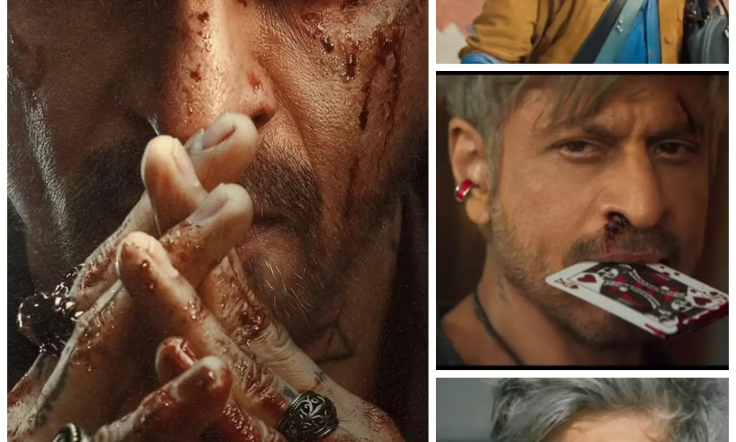 शाहरुख खान की फिल्म ‘किंग’ का पहला लुक आया सामने, टाइटल रिवील के साथ मचा सोशल मीडिया पर तहलका शाहरुख खान की फिल्म ‘किंग’ का पहला लुक आया सामने, टाइटल रिवील के साथ मचा सोशल मीडिया पर तहलका